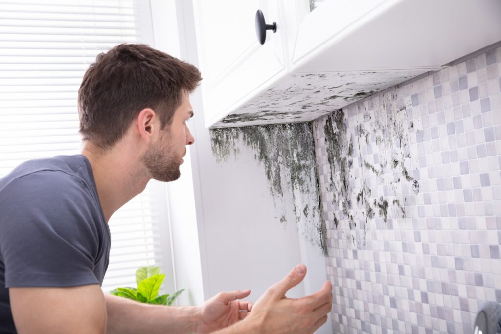 Man looking at mold